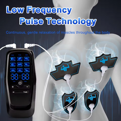 Physiotherapy Tens Muscle Stimulator Electric Ems Acupuncture Body Massage Digital Therapy Slimming Machine Electro Stimulator